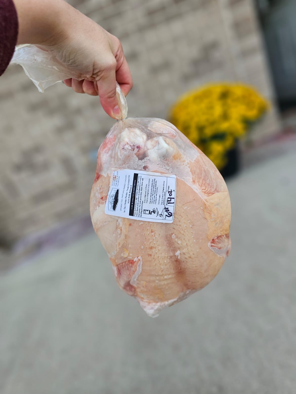 ORGANIC 6 WHOLE CHICKEN BUNDLE
