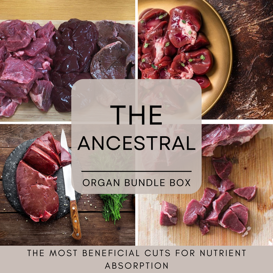 THE ANCESTRAL: Organs & Oxtail